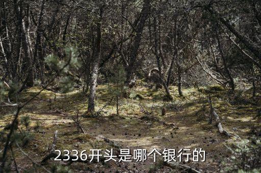 2336開(kāi)頭是哪個(gè)銀行的