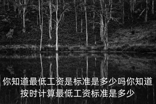 最低時(shí)薪，你知道最低工資是標(biāo)準(zhǔn)是多少嗎你知道按時(shí)計(jì)算最低工資標(biāo)準(zhǔn)是多少