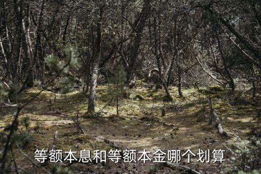 等額本息和等額本金哪個劃算
