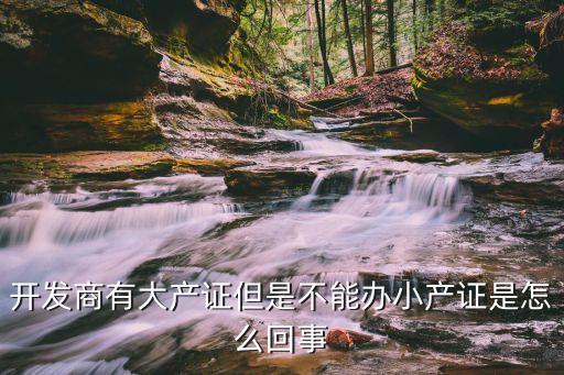 開發(fā)商有大產(chǎn)證但是不能辦小產(chǎn)證是怎么回事