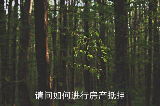 請(qǐng)問如何進(jìn)行房產(chǎn)抵押