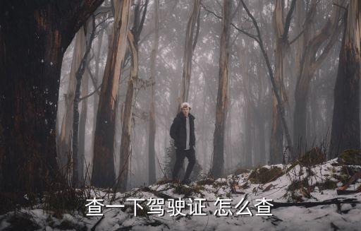 查詢駕照，如何查詢機(jī)動車駕駛證的信息