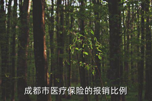 成都市醫(yī)療保險(xiǎn)的報(bào)銷比例