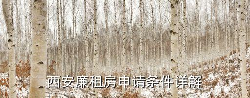 西安廉租房申請條件詳解