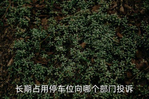 亂停亂放舉報(bào)電話，長(zhǎng)期占用停車(chē)位向哪個(gè)部門(mén)投訴