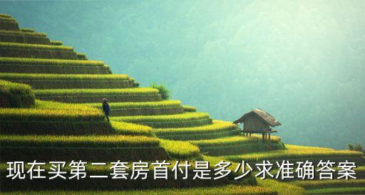 現(xiàn)在買第二套房首付是多少求準(zhǔn)確答案