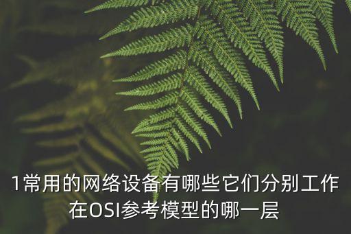 1常用的網(wǎng)絡(luò)設(shè)備有哪些它們分別工作在OSI參考模型的哪一層