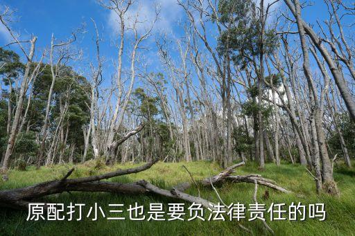 原配打小三，如果是小三被原配妻子打傷誰付責(zé)任