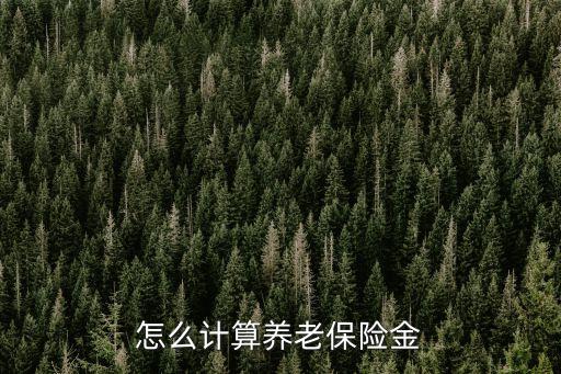 養(yǎng)老保險(xiǎn)退休金怎么算，退休時(shí)社保的養(yǎng)老金如何計(jì)算