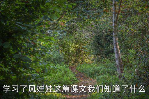 學(xué)習(xí)了風(fēng)娃娃這篇課文我們知道了什么