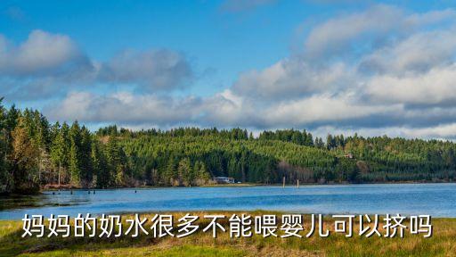 媽媽的奶水很多不能喂嬰兒可以擠嗎