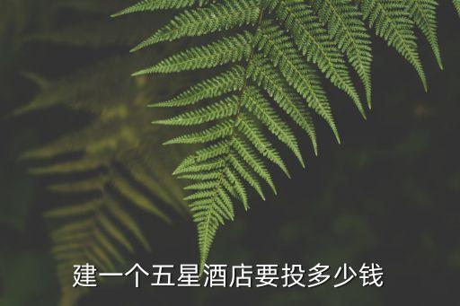 建一個(gè)五星酒店要投多少錢