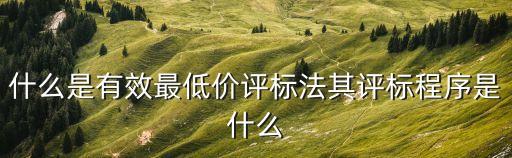什么是有效最低價(jià)評(píng)標(biāo)法其評(píng)標(biāo)程序是什么