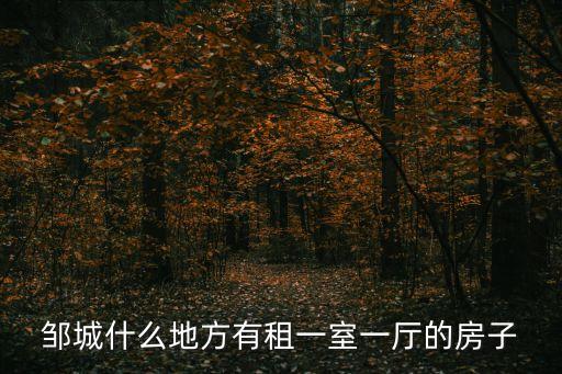 鄒城什么地方有租一室一廳的房子