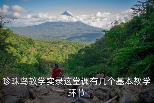 珍珠鳥教案，第16課珍珠鳥的主要內容
