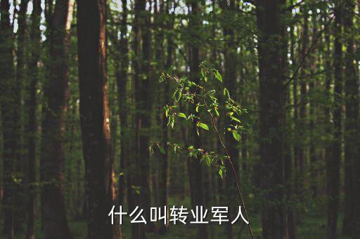 什么叫轉(zhuǎn)業(yè)軍人