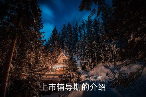 上市輔導(dǎo)期的介紹