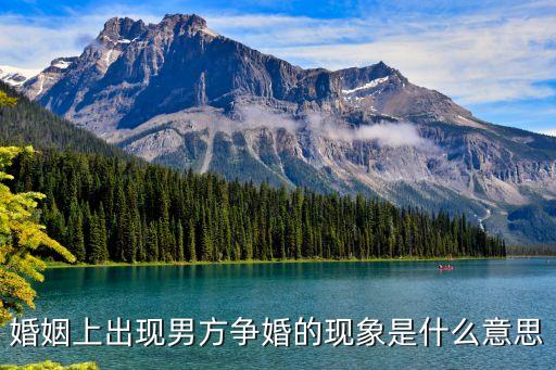 爭(zhēng)婚，可以爭(zhēng)婚不