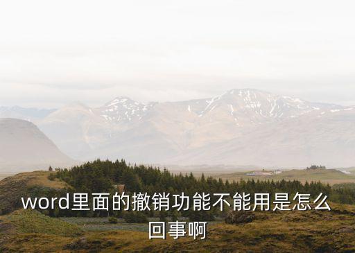 word里面的撤銷功能不能用是怎么回事啊