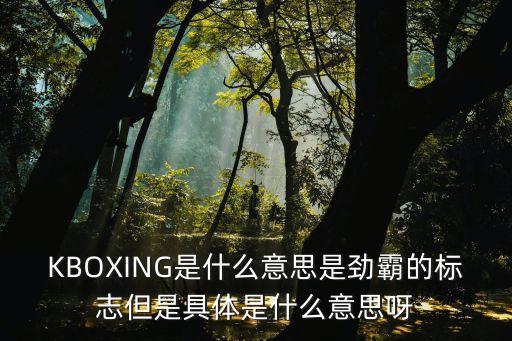 KBOXING是什么意思是勁霸的標(biāo)志但是具體是什么意思呀