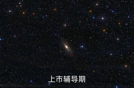 上市輔導(dǎo)期