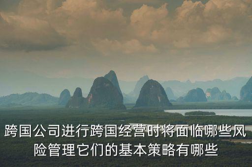 跨國(guó)經(jīng)營(yíng)，簡(jiǎn)述跨國(guó)公司的幾種經(jīng)營(yíng)策略