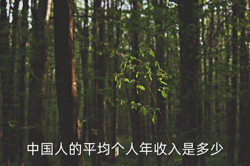 中國人的平均個人年收入是多少