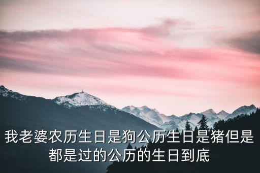 我的老婆是條狗，妻子的秘密那只狗叫什么