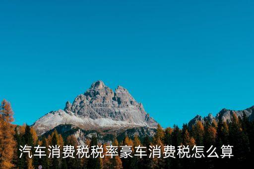 汽車(chē)消費(fèi)稅稅率豪車(chē)消費(fèi)稅怎么算