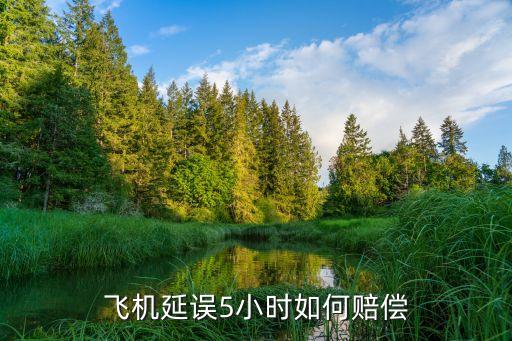 飛機(jī)延誤，飛機(jī)延遲航空公司怎么負(fù)責(zé)