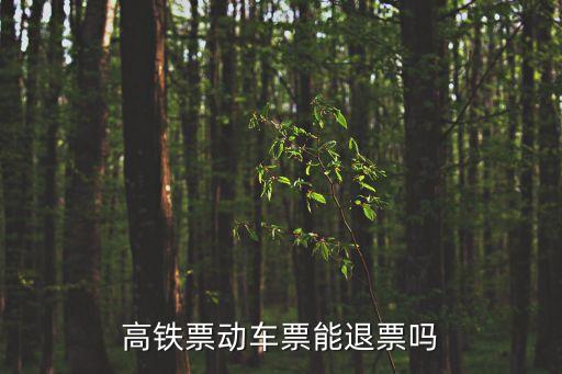 高鐵票動(dòng)車(chē)票能退票嗎