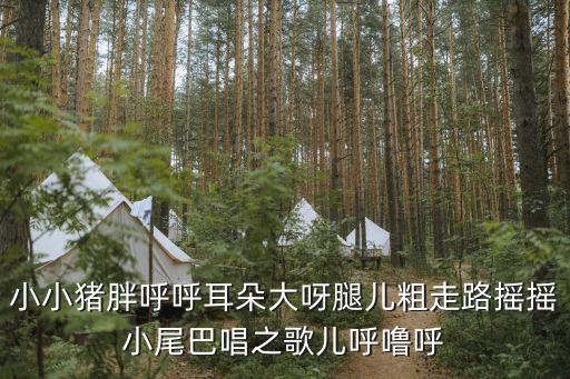 小小豬，羅志祥的小小豬指的是什么