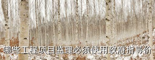 哪些工程項目監(jiān)理必須使用政府指導價