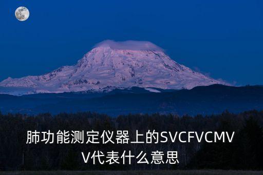 肺功能測(cè)定儀器上的SVCFVCMVV代表什么意思