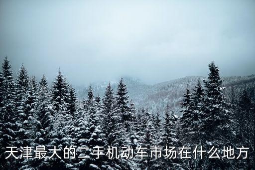 天津最大的二手機(jī)動(dòng)車(chē)市場(chǎng)在什么地方