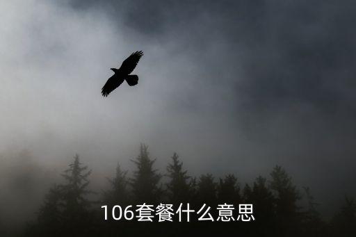 106是什么意思，106套餐什么意思