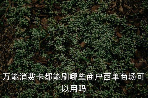 萬能消費卡都能刷哪些商戶西單商場可以用嗎