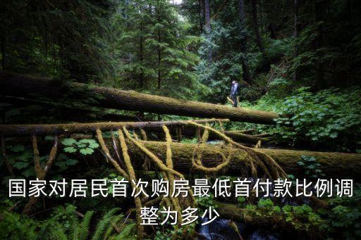 買房政策，請(qǐng)問(wèn)現(xiàn)在首次購(gòu)房政策是什么比如首付 貸款利率什么的