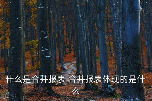 合并報表，什么是合并報表 合并報表體現(xiàn)的是什么