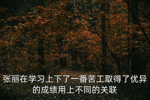 張麗在學(xué)習(xí)上下了一番苦工取得了優(yōu)異的成績(jī)用上不同的關(guān)聯(lián)