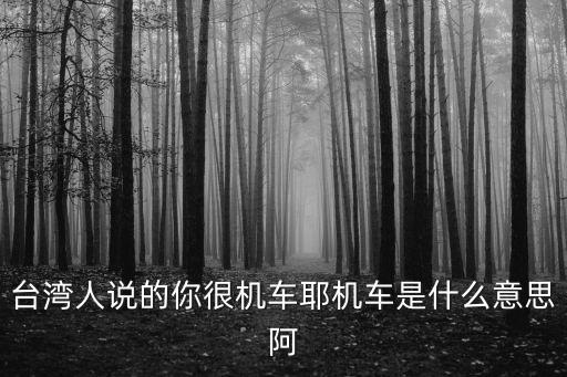 你好機(jī)車哦，臺(tái)灣人說的你很機(jī)車耶機(jī)車是什么意思阿