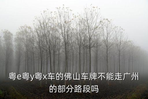 粵e粵y粵x，粵e粵y粵x車的佛山車牌不能走廣州的部分路段嗎