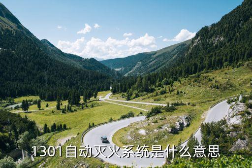1301，交通法規(guī)1301是什么