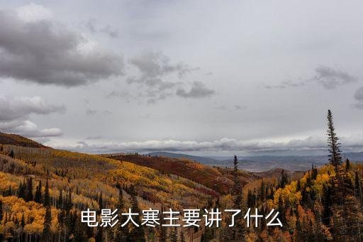 電影大寒主要講了什么