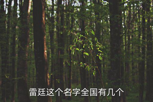 雷廷這個名字全國有幾個