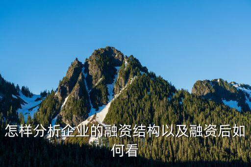 怎樣分析企業(yè)的融資結(jié)構(gòu)以及融資后如何看