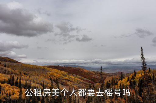 公租房美個人都要去榣號嗎
