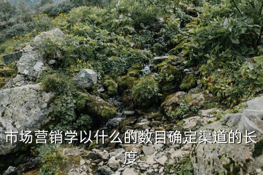 市場(chǎng)營(yíng)銷學(xué)以什么的數(shù)目確定渠道的長(zhǎng)度