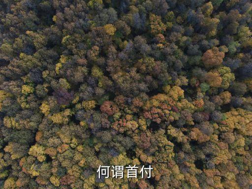 首付，多少首付呢