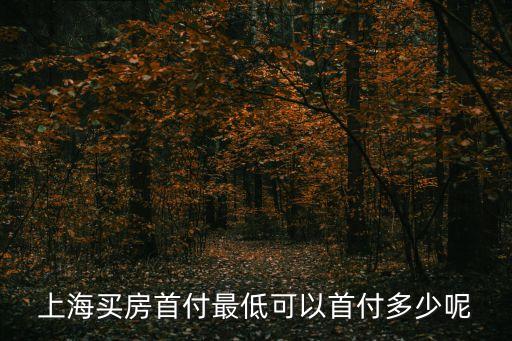 上海買房首付最低可以首付多少呢